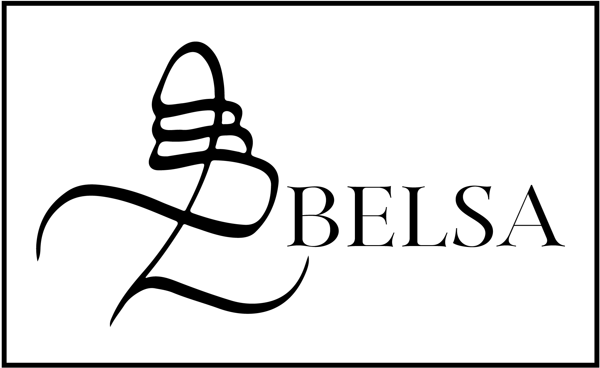 BELSA INC